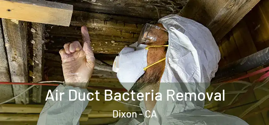  Air Duct Bacteria Removal Dixon - CA