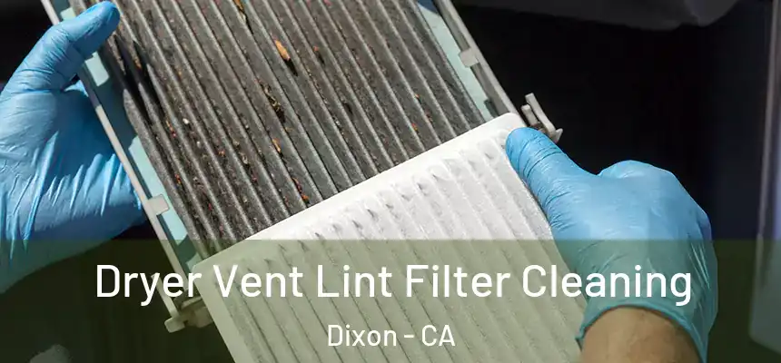  Dryer Vent Lint Filter Cleaning Dixon - CA