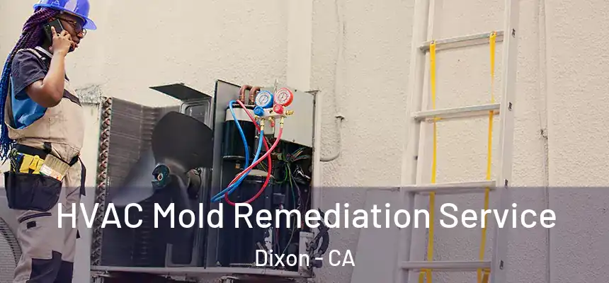  HVAC Mold Remediation Service Dixon - CA