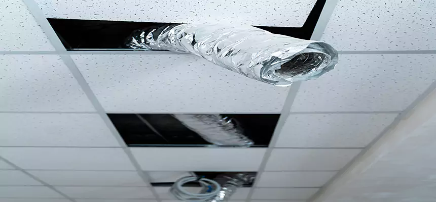 Our Air Duct Pet Hair Removal Services in Dixon, CA