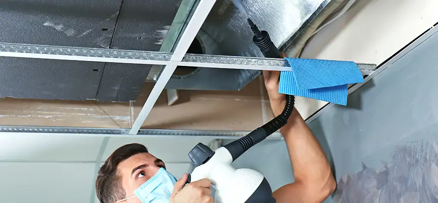 Our Air Duct Rodent Removal Services in Dixon, CA