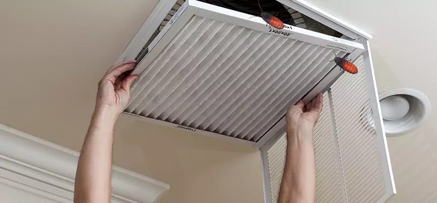 Our Insect Removal from Air Ducts Services in Dixon, CA