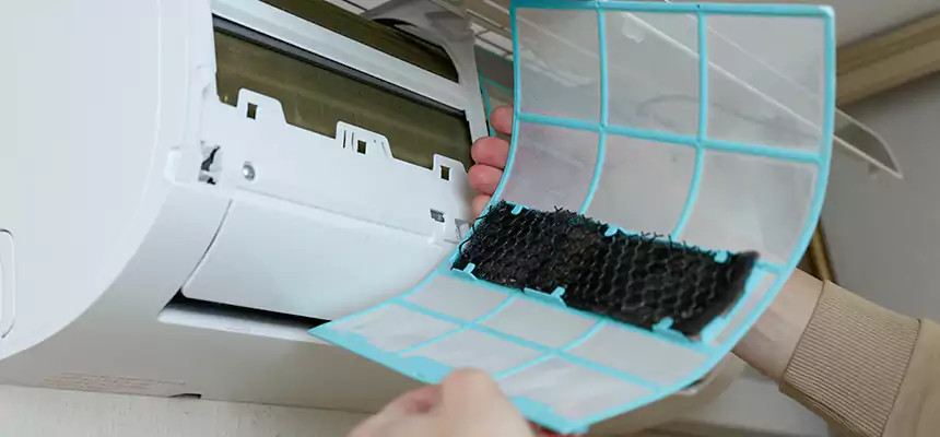 Gentle Ductwork Odor-Control Pet Dander Duct Cleaning in Dixon, CA