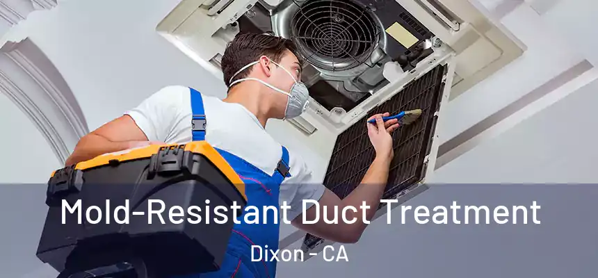  Mold-Resistant Duct Treatment Dixon - CA