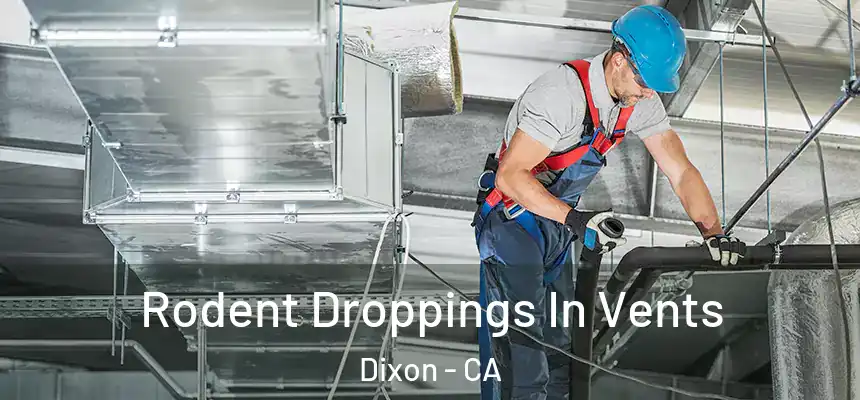  Rodent Droppings In Vents Dixon - CA