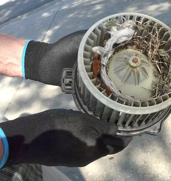 About Air Duct Mice Removal in Dixon, CA