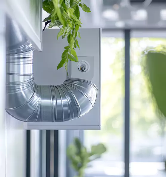 Professional Eco-Friendly Duct Cleaning Services in Dixon, CA