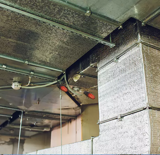 Why Homeowners & Businesses Trust Us in Dixon, CA?