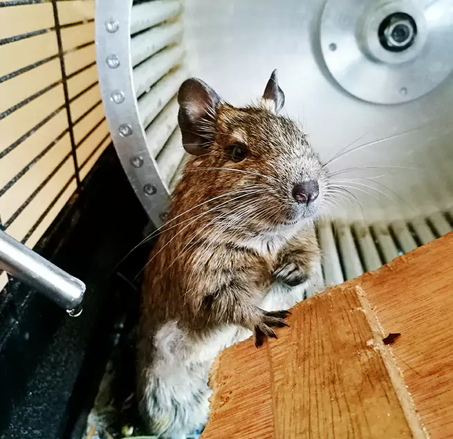 Why Homeowners & Businesses Trust Us Dixon, CA?