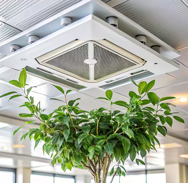 Why Homeowners & Businesses Trust Us in Dixon, CA?